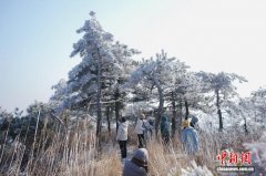 浙江台州华顶山：雪后初霁 雾凇